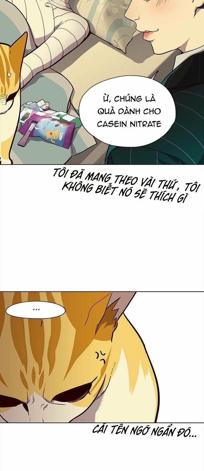 đọc truyện Hóa Thân Thành Mèo Chương 29 ảnh 32 tại Thiên Thai Truyện