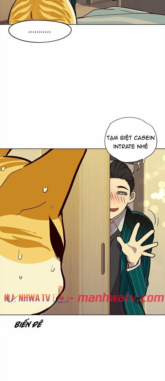 đọc truyện Hóa Thân Thành Mèo Chương 29 ảnh 36 tại Thiên Thai Truyện