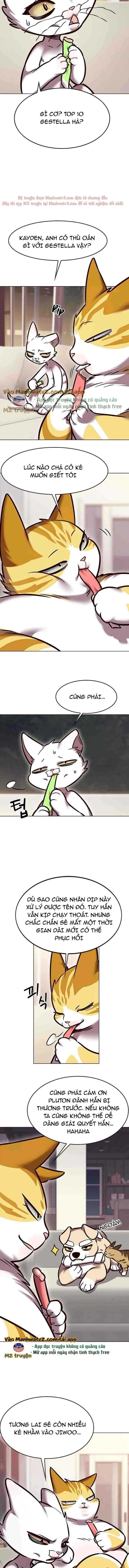 đọc truyện Hóa Thân Thành Mèo Chương 294 ảnh 14 tại Thiên Thai Truyện