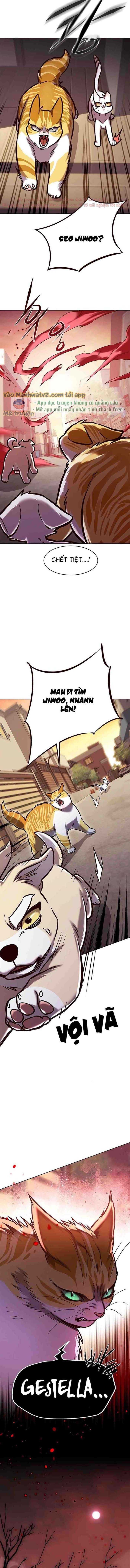 đọc truyện Hóa Thân Thành Mèo Chương 295 ảnh 13 tại Thiên Thai Truyện