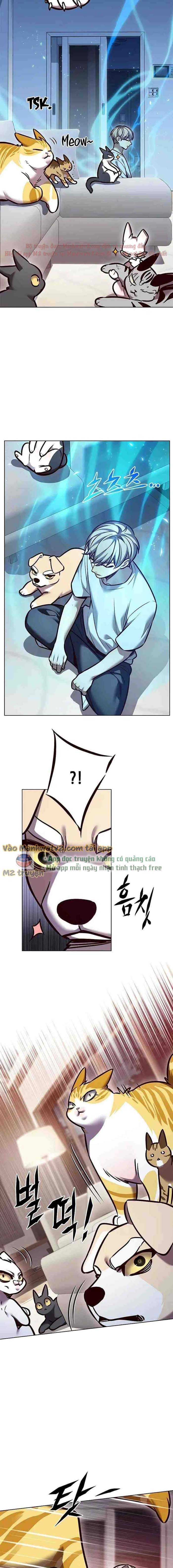 đọc truyện Hóa Thân Thành Mèo Chương 299 ảnh 10 tại Thiên Thai Truyện