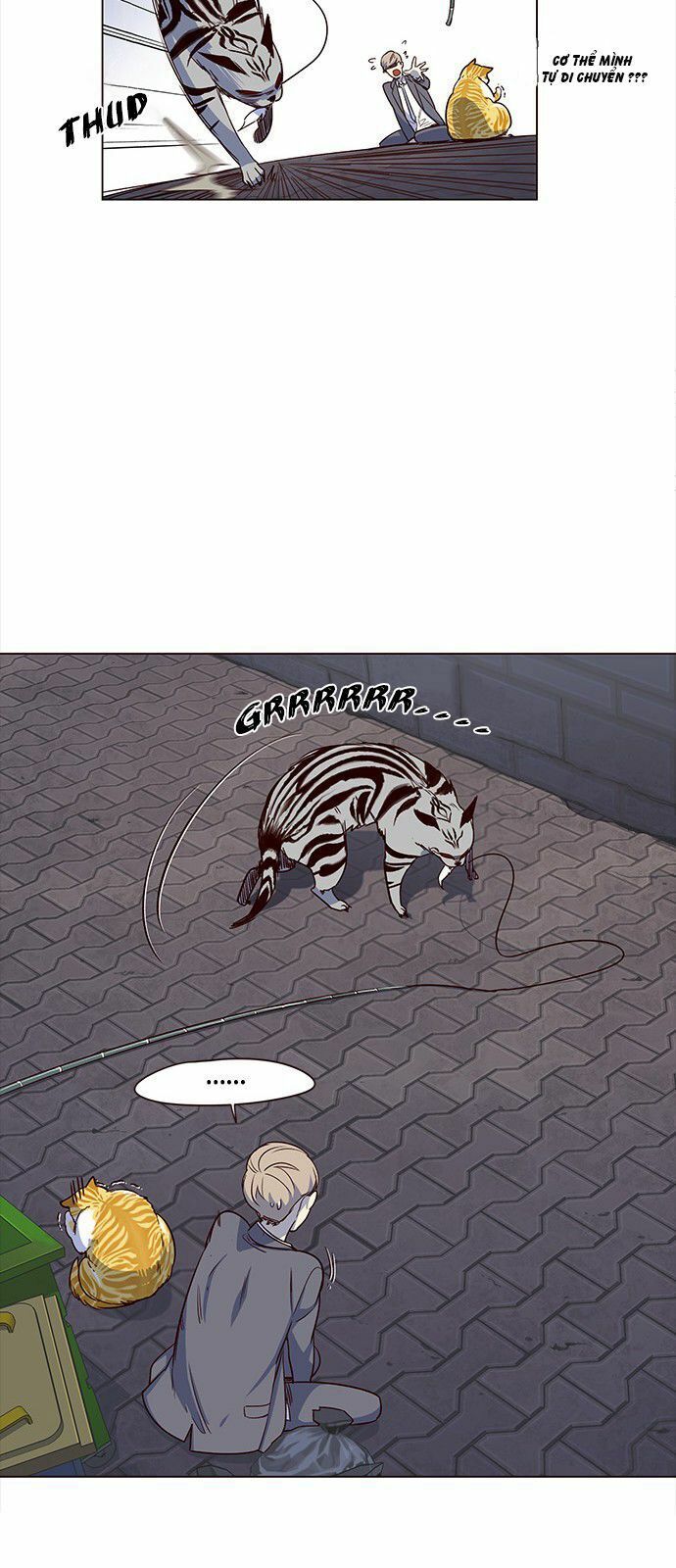 đọc truyện Hóa Thân Thành Mèo Chương 3 ảnh 12 tại Thiên Thai Truyện