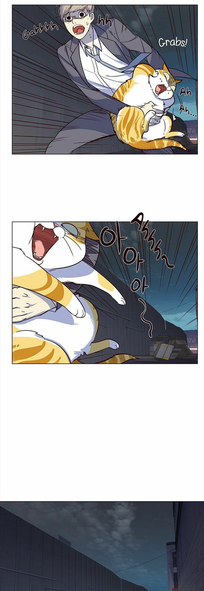 đọc truyện Hóa Thân Thành Mèo Chương 3 ảnh 17 tại Thiên Thai Truyện