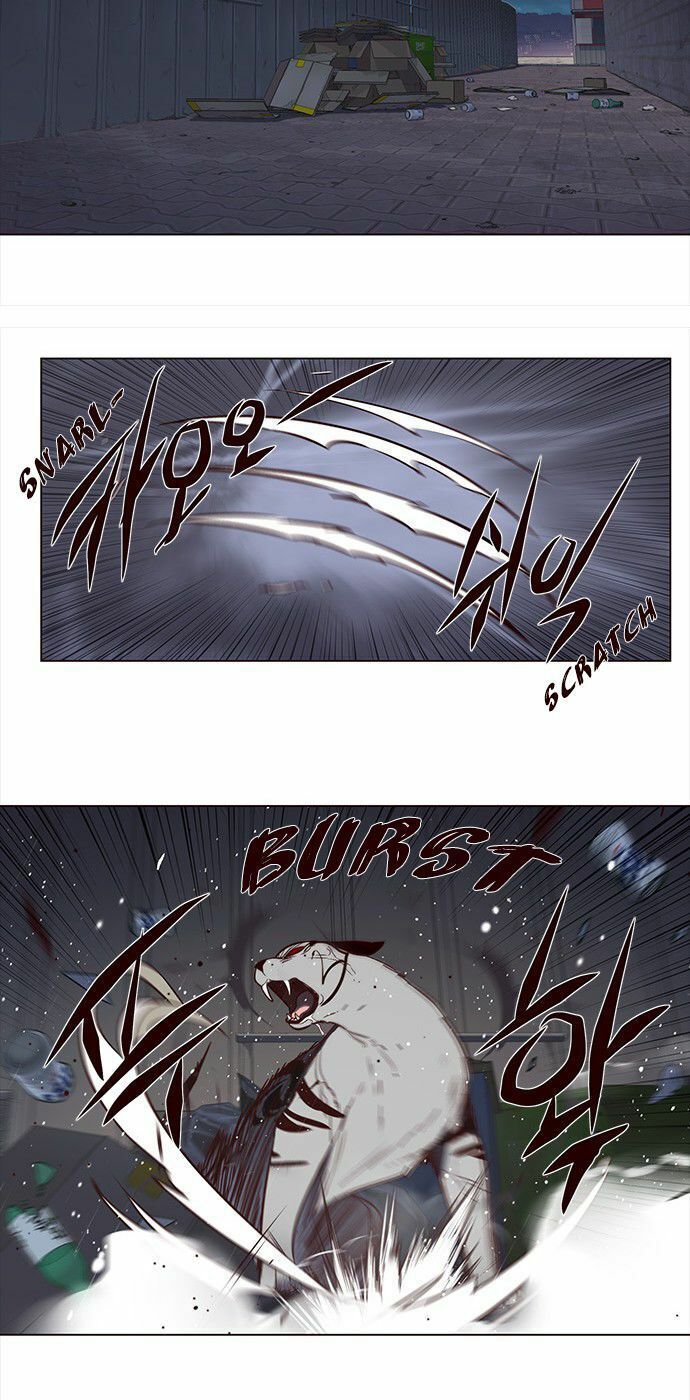 đọc truyện Hóa Thân Thành Mèo Chương 3 ảnh 18 tại Thiên Thai Truyện