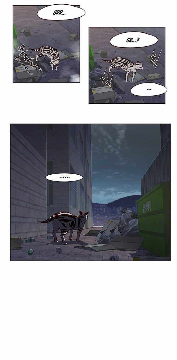 đọc truyện Hóa Thân Thành Mèo Chương 3 ảnh 19 tại Thiên Thai Truyện