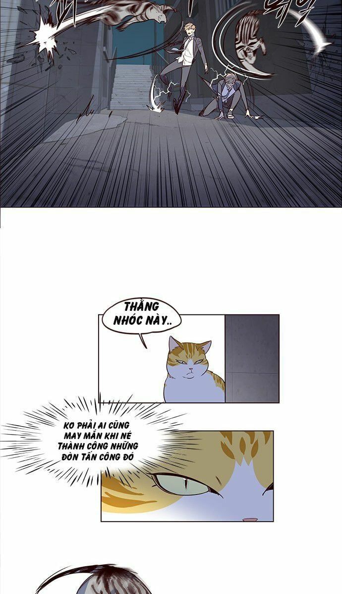 đọc truyện Hóa Thân Thành Mèo Chương 3 ảnh 40 tại Thiên Thai Truyện