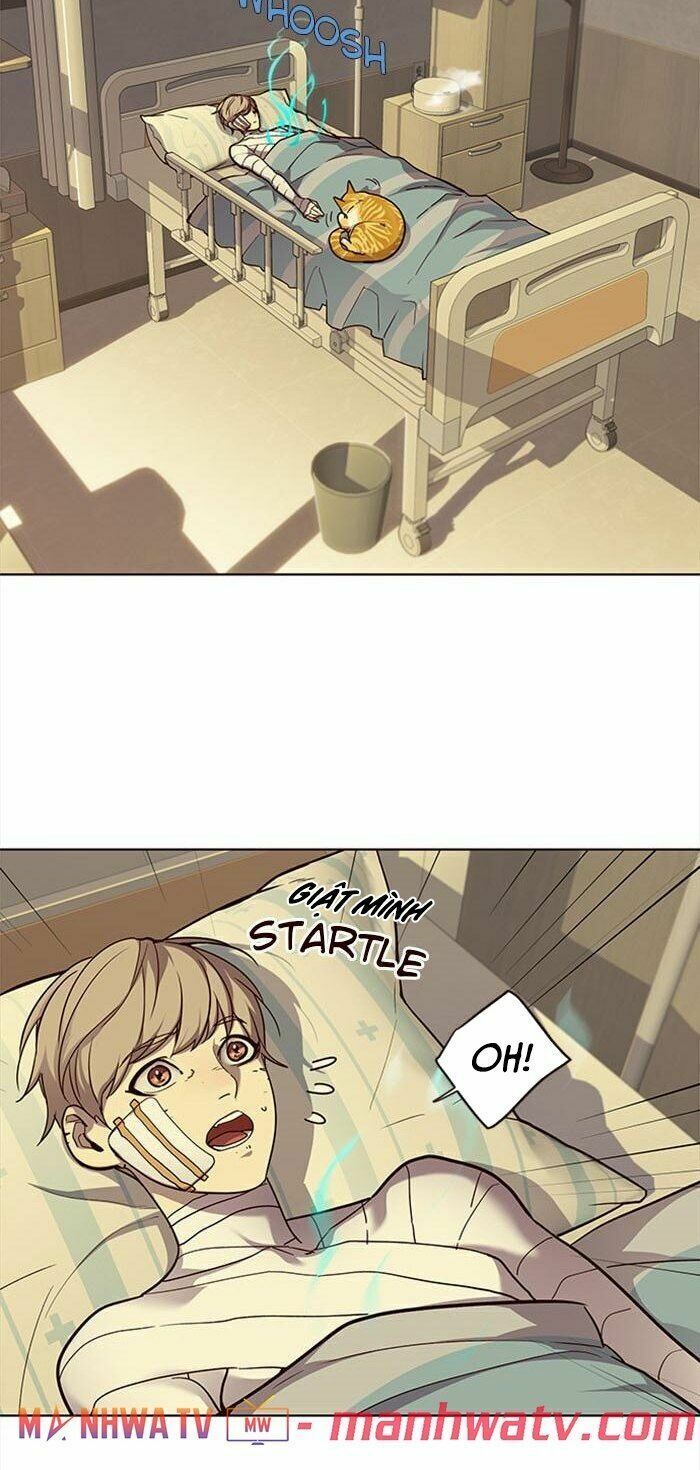 đọc truyện Hóa Thân Thành Mèo Chương 30 ảnh 7 tại Thiên Thai Truyện