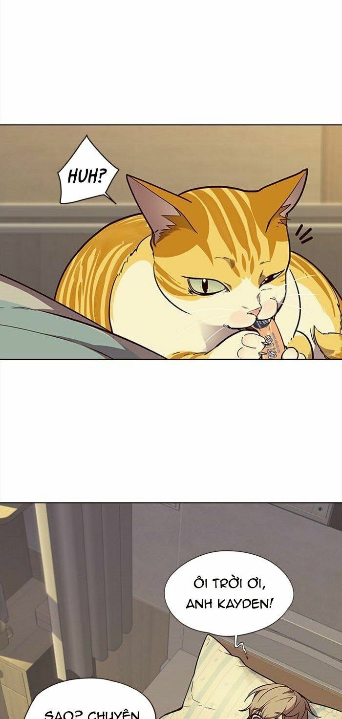 đọc truyện Hóa Thân Thành Mèo Chương 30 ảnh 8 tại Thiên Thai Truyện