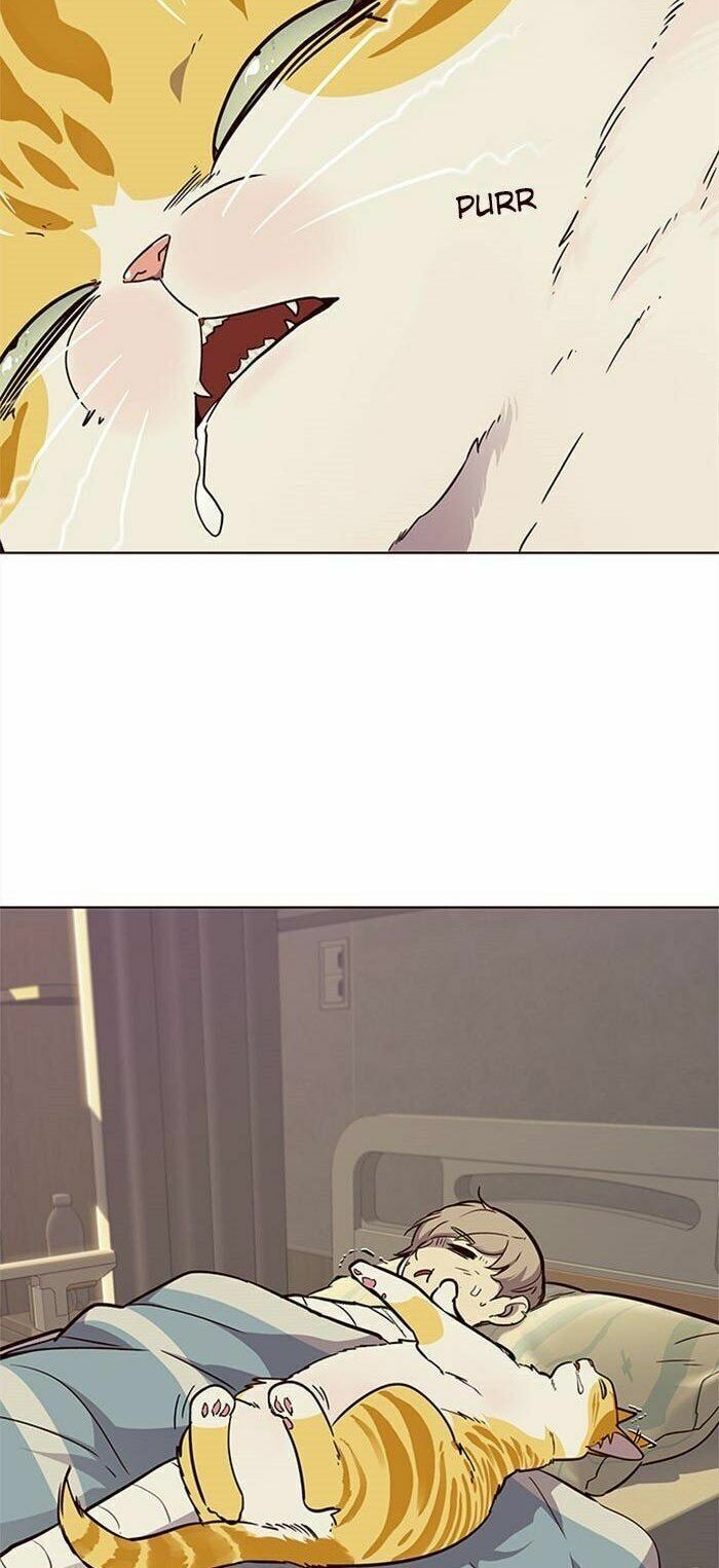 đọc truyện Hóa Thân Thành Mèo Chương 30 ảnh 68 tại Thiên Thai Truyện