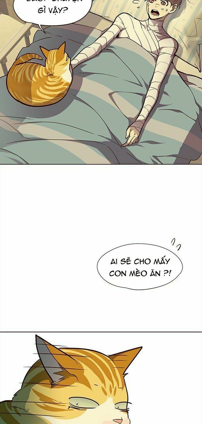 đọc truyện Hóa Thân Thành Mèo Chương 30 ảnh 9 tại Thiên Thai Truyện