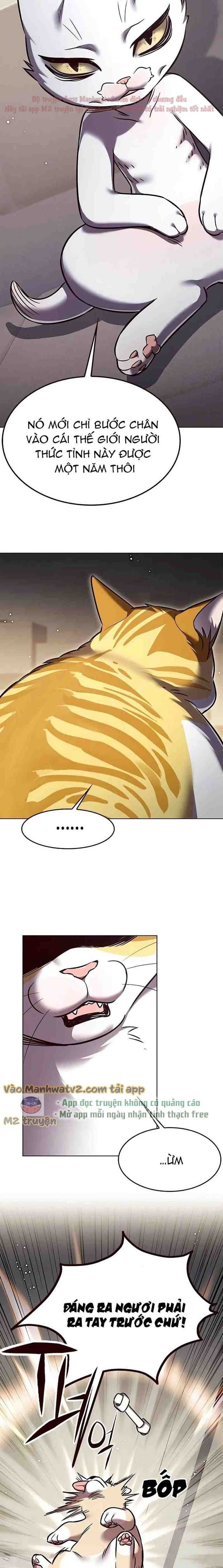 đọc truyện Hóa Thân Thành Mèo Chương 304 ảnh 7 tại Thiên Thai Truyện