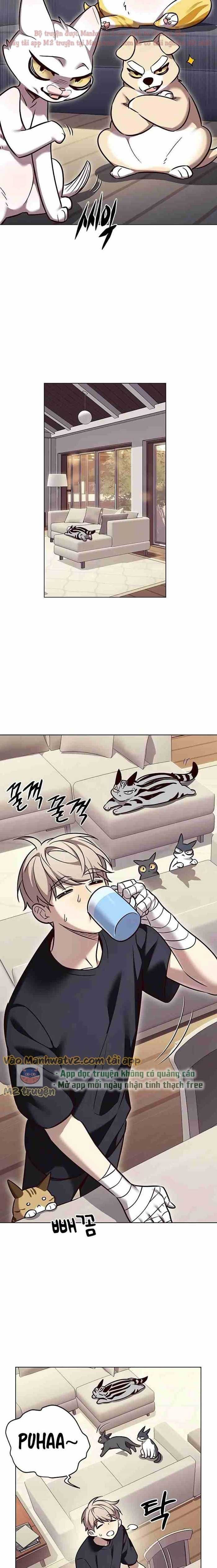 đọc truyện Hóa Thân Thành Mèo Chương 305 ảnh 16 tại Thiên Thai Truyện