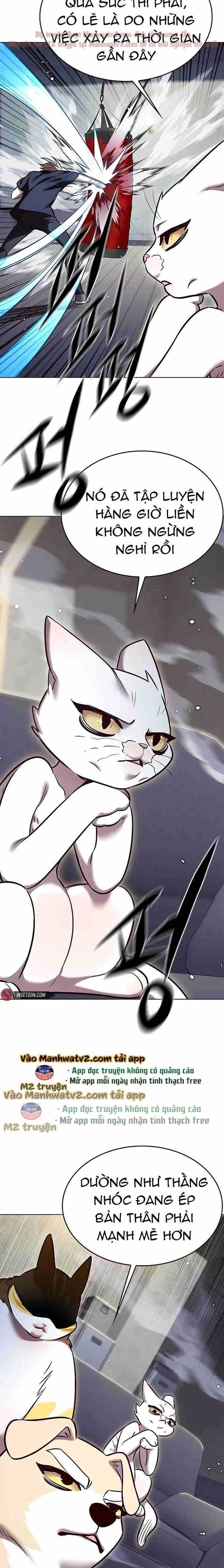 đọc truyện Hóa Thân Thành Mèo Chương 305 ảnh 8 tại Thiên Thai Truyện