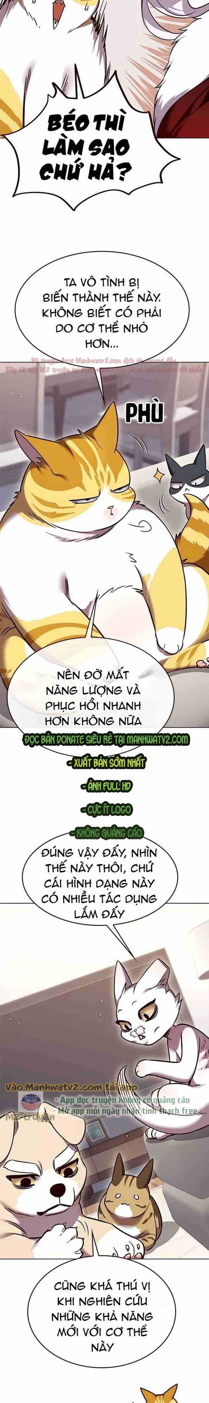 đọc truyện Hóa Thân Thành Mèo Chương 308 ảnh 19 tại Thiên Thai Truyện