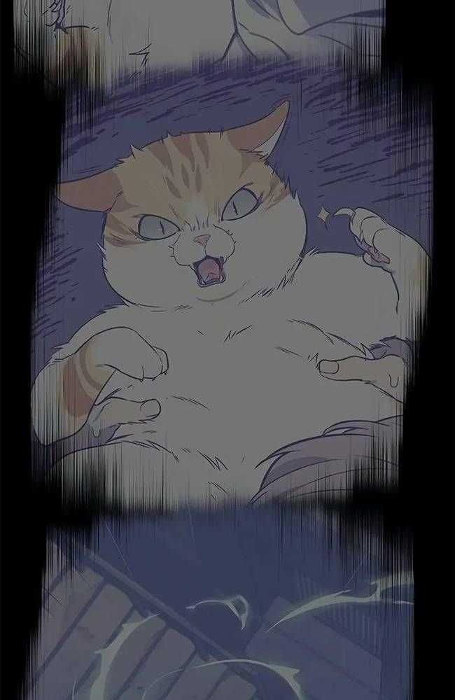 đọc truyện Hóa Thân Thành Mèo Chương 309 ảnh 117 tại Thiên Thai Truyện