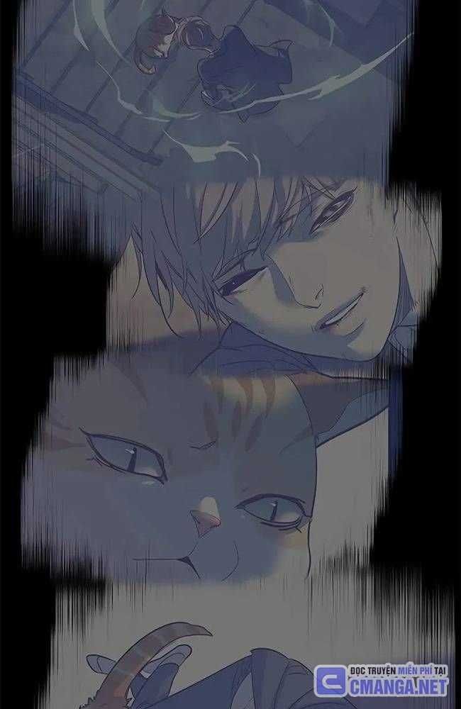 đọc truyện Hóa Thân Thành Mèo Chương 309 ảnh 118 tại Thiên Thai Truyện