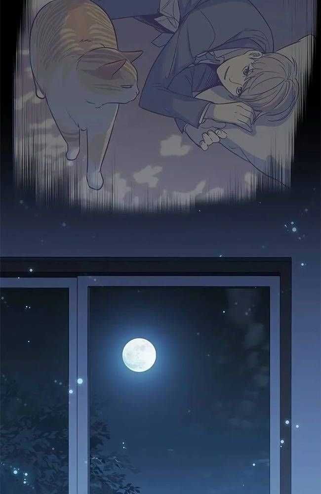 đọc truyện Hóa Thân Thành Mèo Chương 309 ảnh 119 tại Thiên Thai Truyện