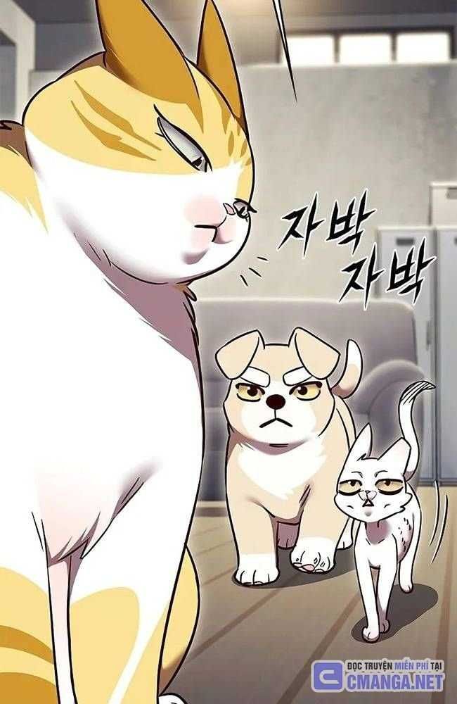 đọc truyện Hóa Thân Thành Mèo Chương 309 ảnh 63 tại Thiên Thai Truyện