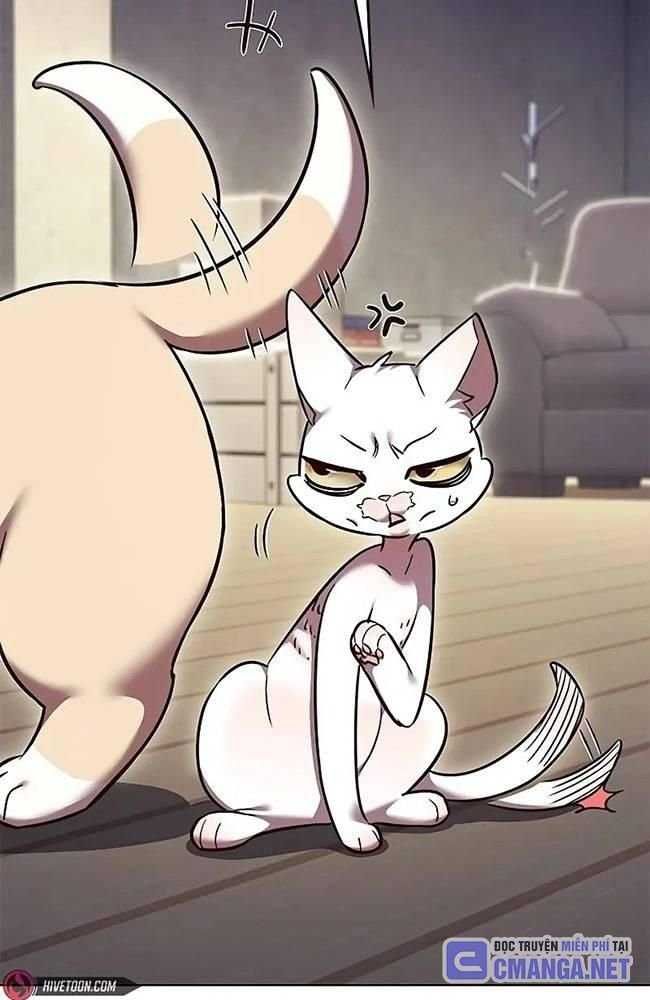 đọc truyện Hóa Thân Thành Mèo Chương 309 ảnh 72 tại Thiên Thai Truyện