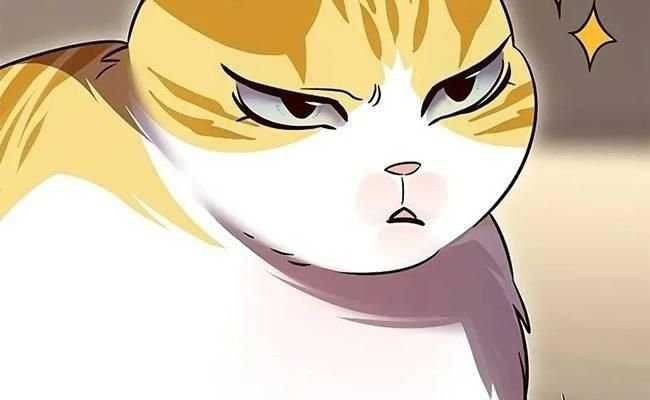 đọc truyện Hóa Thân Thành Mèo Chương 309 ảnh 75 tại Thiên Thai Truyện