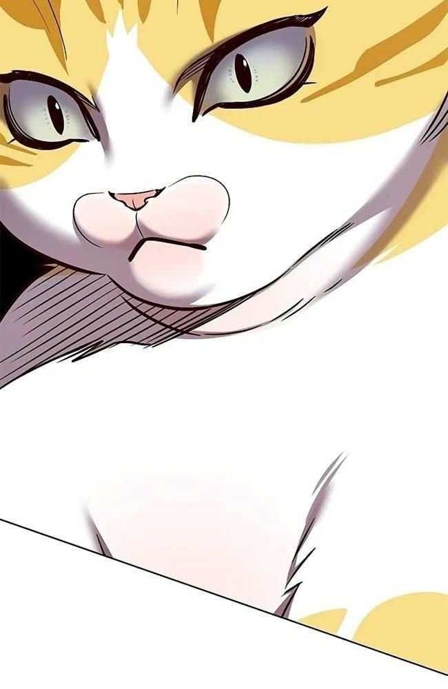 đọc truyện Hóa Thân Thành Mèo Chương 309 ảnh 99 tại Thiên Thai Truyện