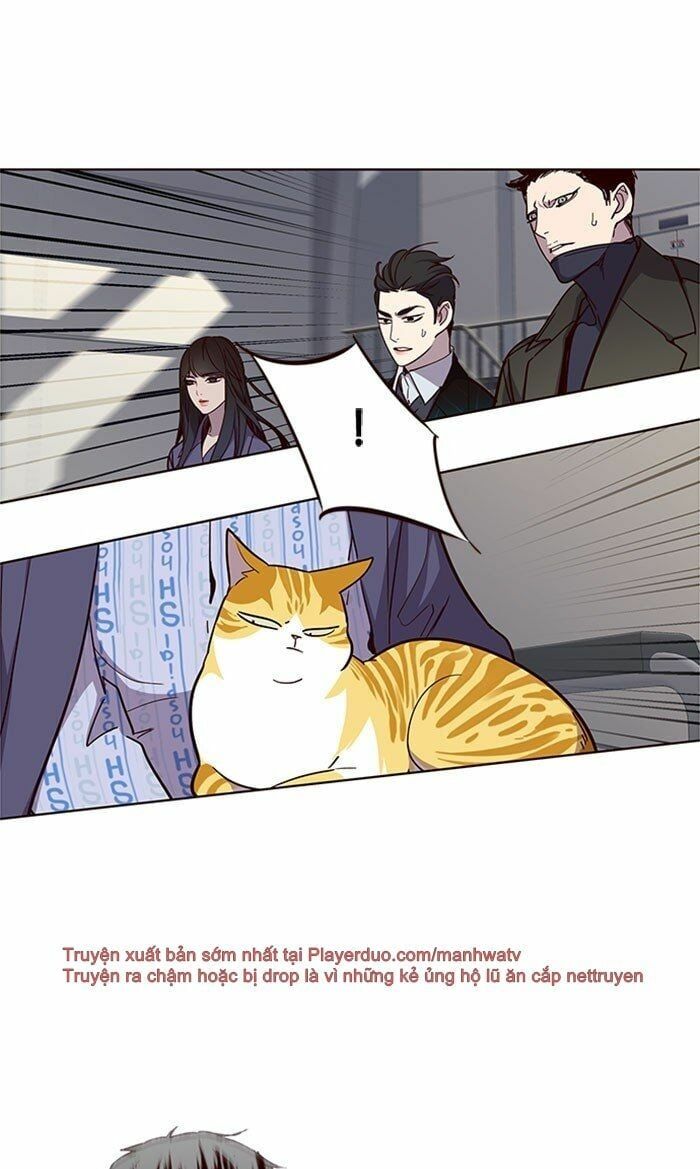 đọc truyện Hóa Thân Thành Mèo Chương 32 ảnh 82 tại Thiên Thai Truyện