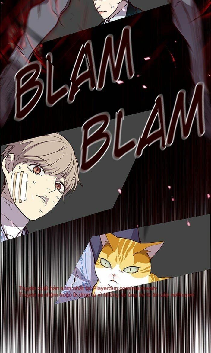 đọc truyện Hóa Thân Thành Mèo Chương 32 ảnh 87 tại Thiên Thai Truyện