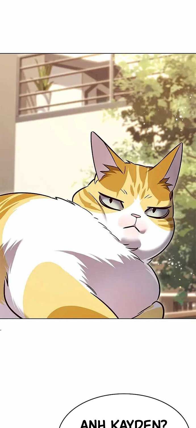 đọc truyện Hóa Thân Thành Mèo Chương 323 ảnh 27 tại Thiên Thai Truyện