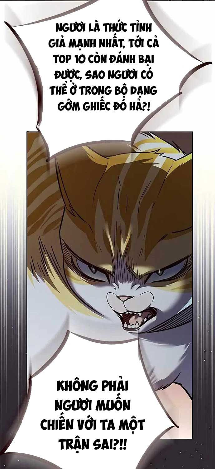 đọc truyện Hóa Thân Thành Mèo Chương 323 ảnh 72 tại Thiên Thai Truyện