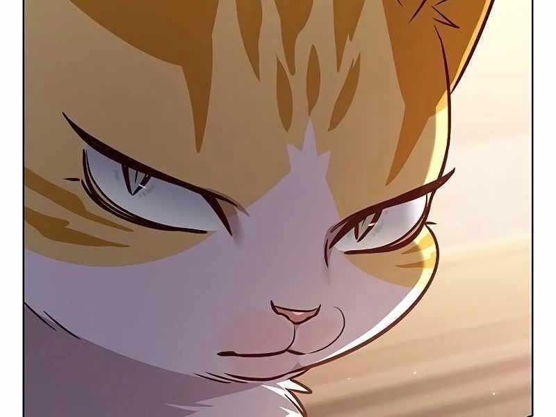 đọc truyện Hóa Thân Thành Mèo Chương 325 ảnh 105 tại Thiên Thai Truyện