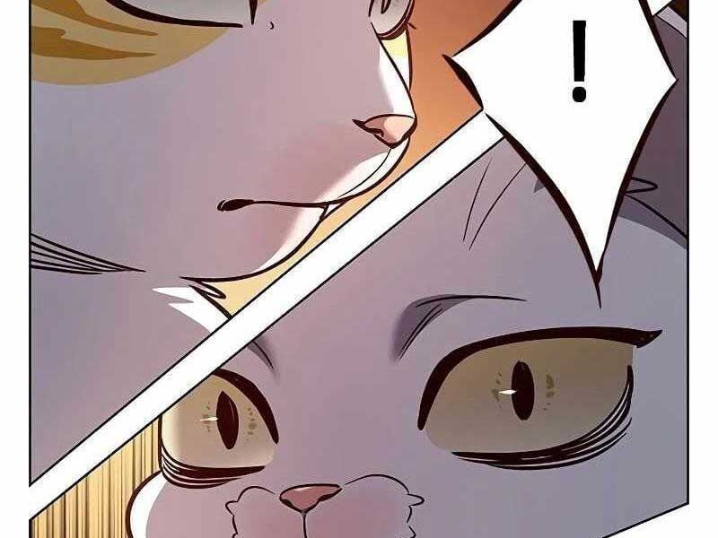 đọc truyện Hóa Thân Thành Mèo Chương 325 ảnh 117 tại Thiên Thai Truyện