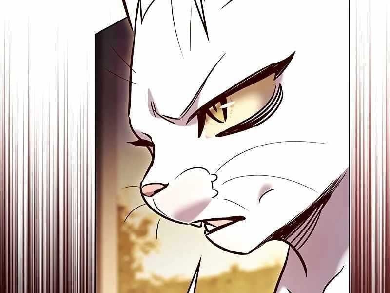 đọc truyện Hóa Thân Thành Mèo Chương 325 ảnh 127 tại Thiên Thai Truyện