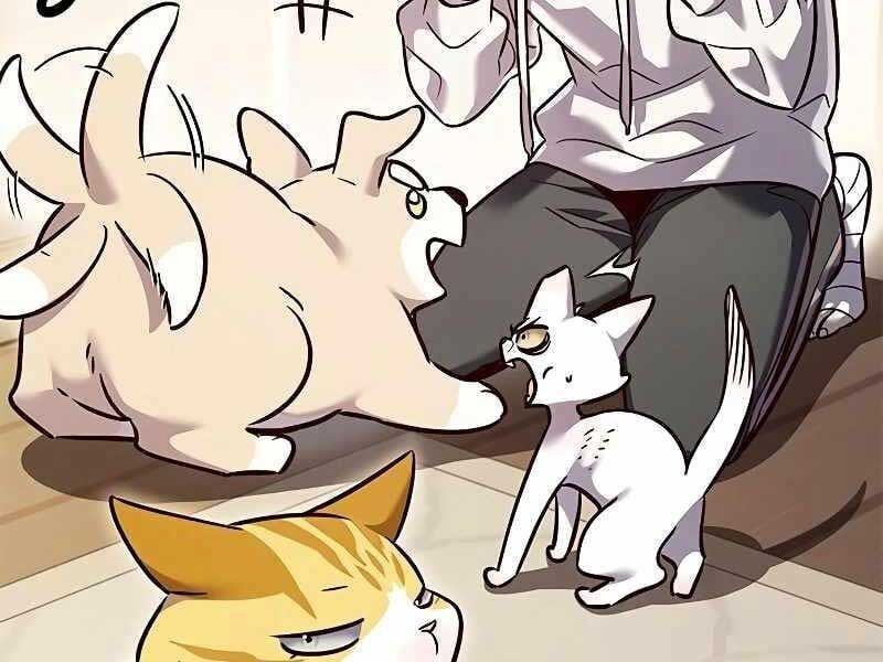 đọc truyện Hóa Thân Thành Mèo Chương 325 ảnh 201 tại Thiên Thai Truyện