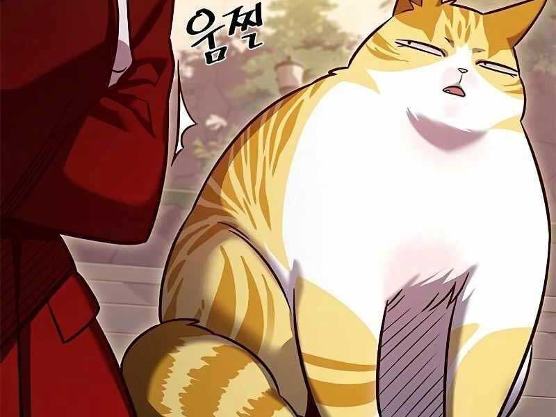 đọc truyện Hóa Thân Thành Mèo Chương 325 ảnh 220 tại Thiên Thai Truyện