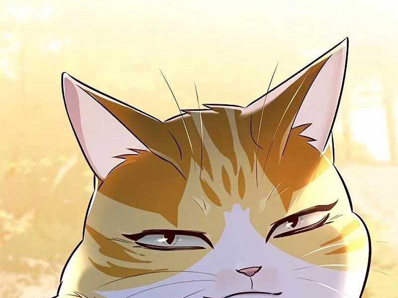 đọc truyện Hóa Thân Thành Mèo Chương 325 ảnh 230 tại Thiên Thai Truyện