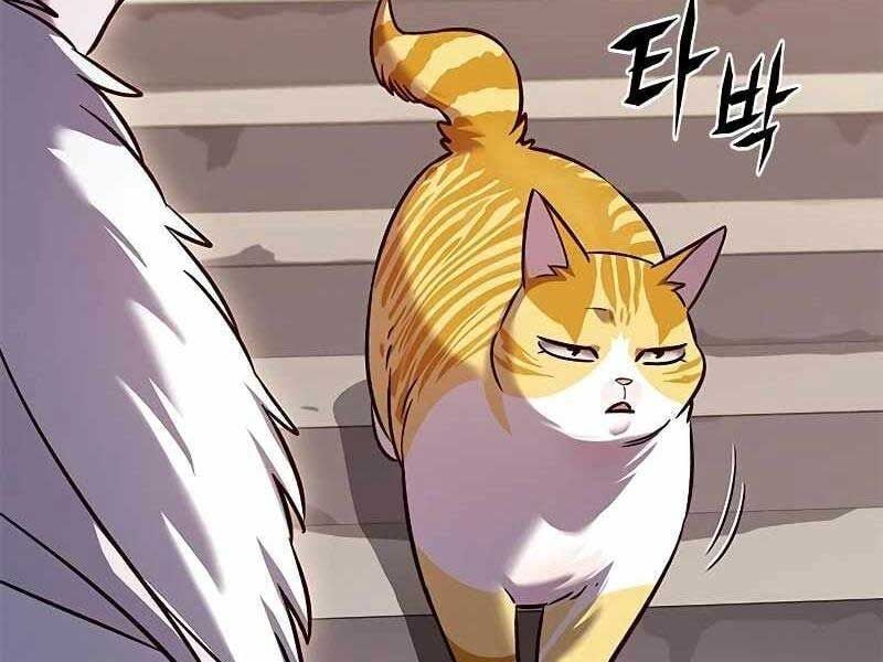 đọc truyện Hóa Thân Thành Mèo Chương 325 ảnh 237 tại Thiên Thai Truyện