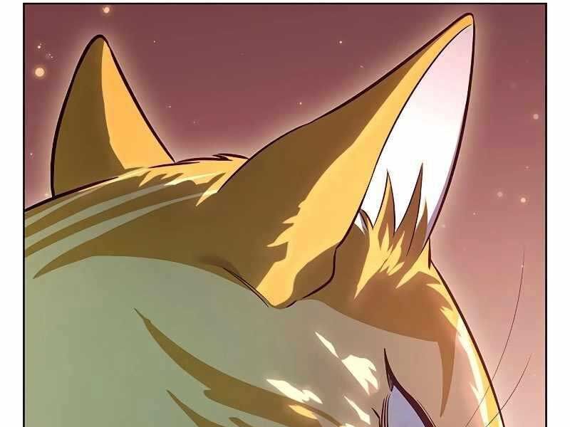 đọc truyện Hóa Thân Thành Mèo Chương 325 ảnh 243 tại Thiên Thai Truyện