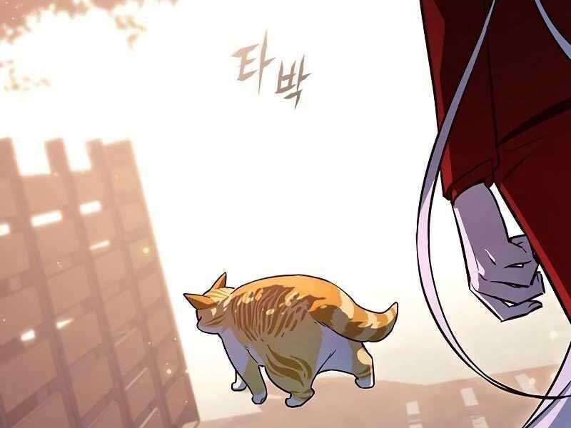 đọc truyện Hóa Thân Thành Mèo Chương 325 ảnh 252 tại Thiên Thai Truyện