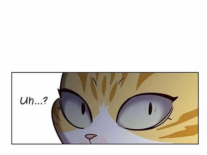 đọc truyện Hóa Thân Thành Mèo Chương 325 ảnh 56 tại Thiên Thai Truyện