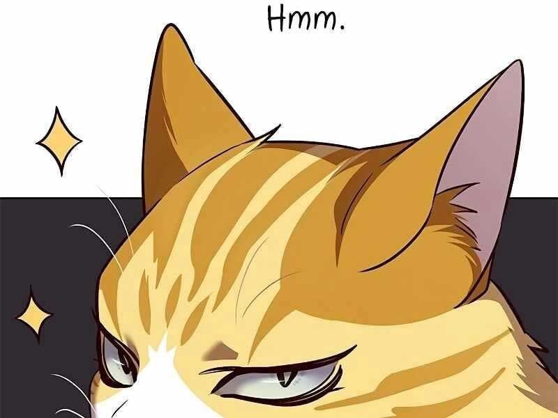 đọc truyện Hóa Thân Thành Mèo Chương 325 ảnh 61 tại Thiên Thai Truyện