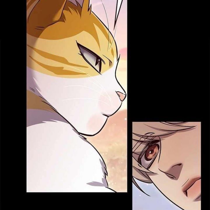 đọc truyện Hóa Thân Thành Mèo Chương 326 ảnh 145 tại Thiên Thai Truyện