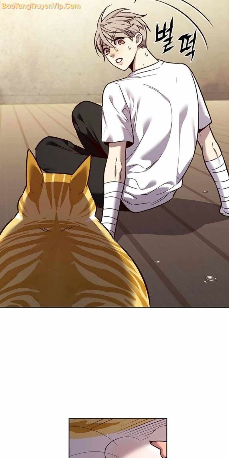 đọc truyện Hóa Thân Thành Mèo Chương 329 ảnh 97 tại Thiên Thai Truyện