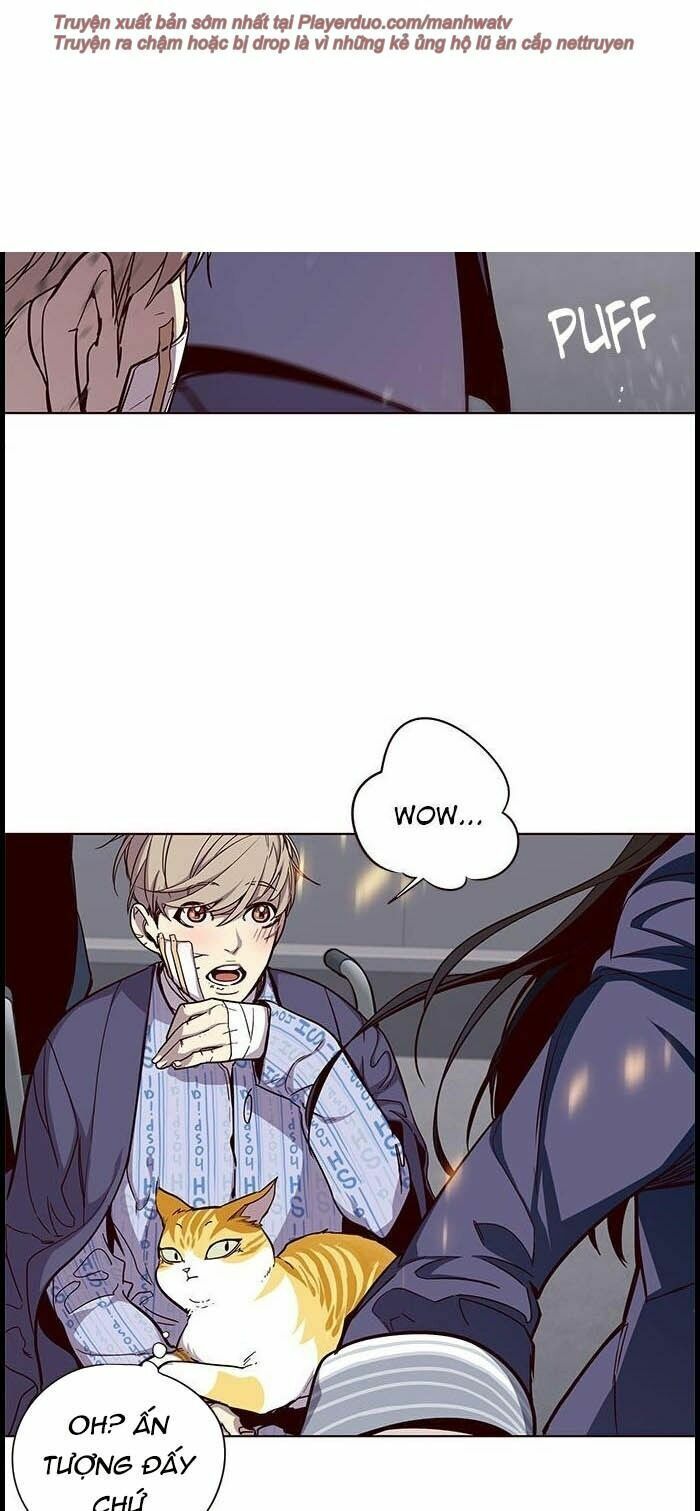 đọc truyện Hóa Thân Thành Mèo Chương 33 ảnh 22 tại Thiên Thai Truyện