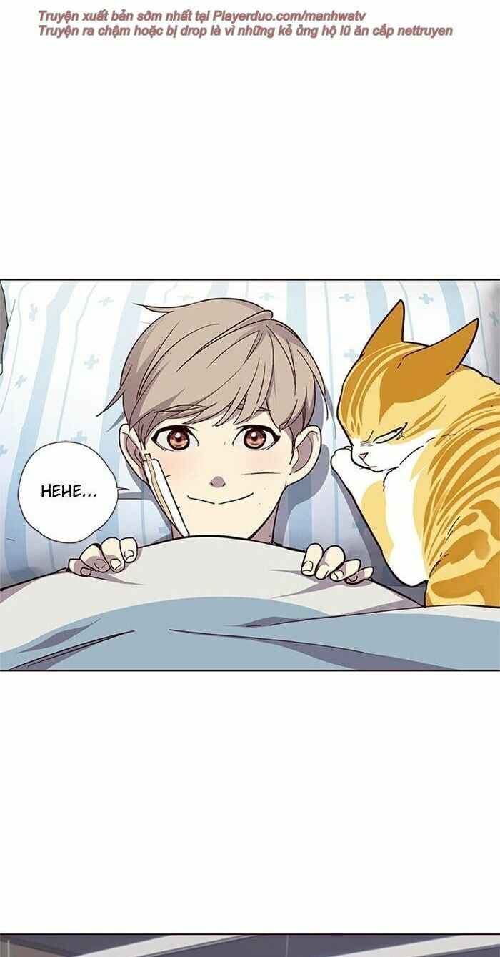 đọc truyện Hóa Thân Thành Mèo Chương 33 ảnh 66 tại Thiên Thai Truyện