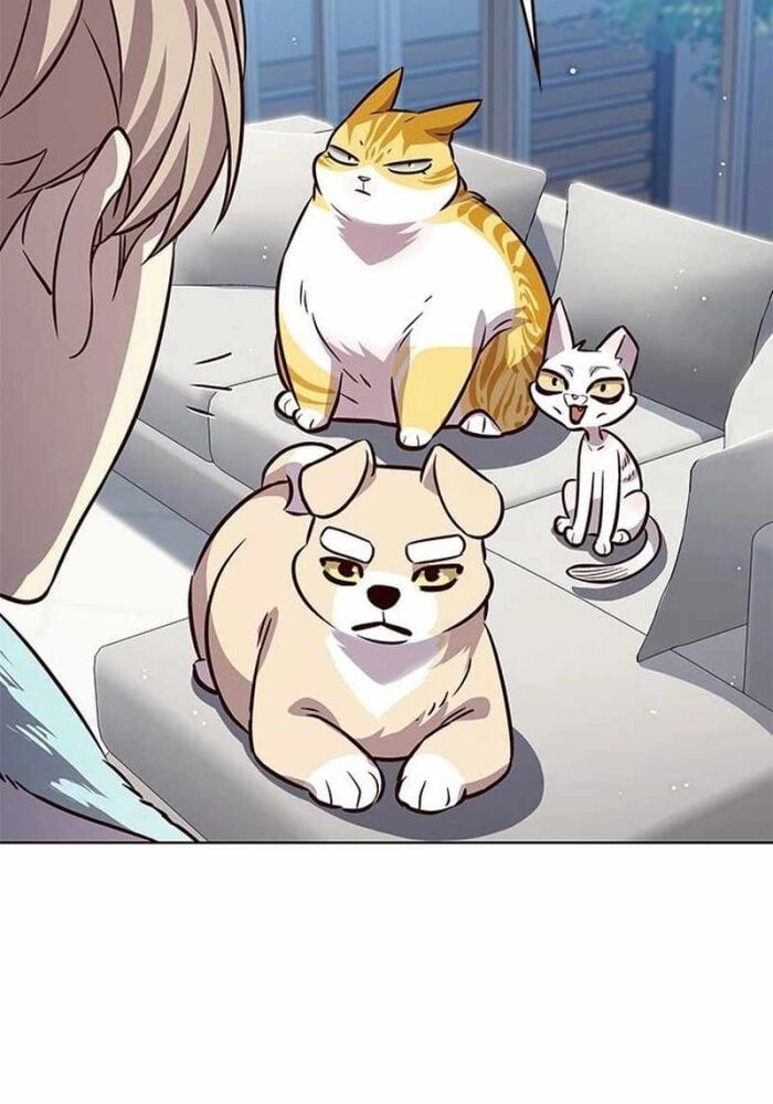 đọc truyện Hóa Thân Thành Mèo Chương 330 ảnh 109 tại Thiên Thai Truyện