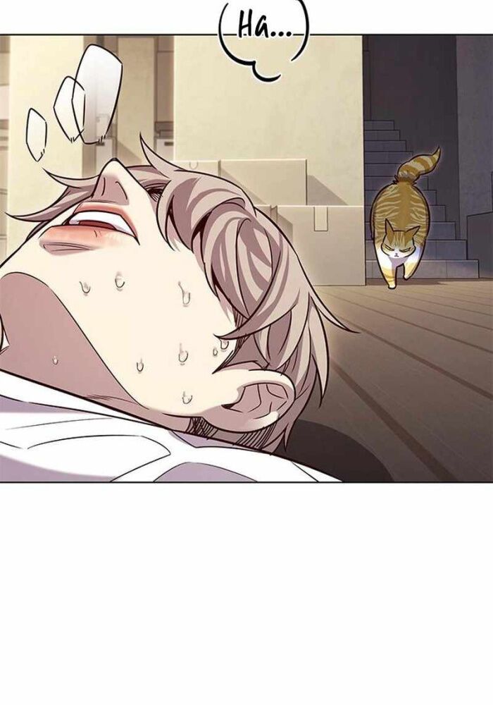 đọc truyện Hóa Thân Thành Mèo Chương 330 ảnh 6 tại Thiên Thai Truyện