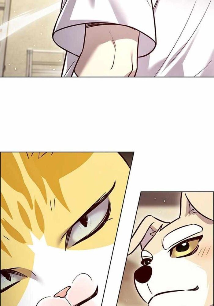 đọc truyện Hóa Thân Thành Mèo Chương 330 ảnh 45 tại Thiên Thai Truyện