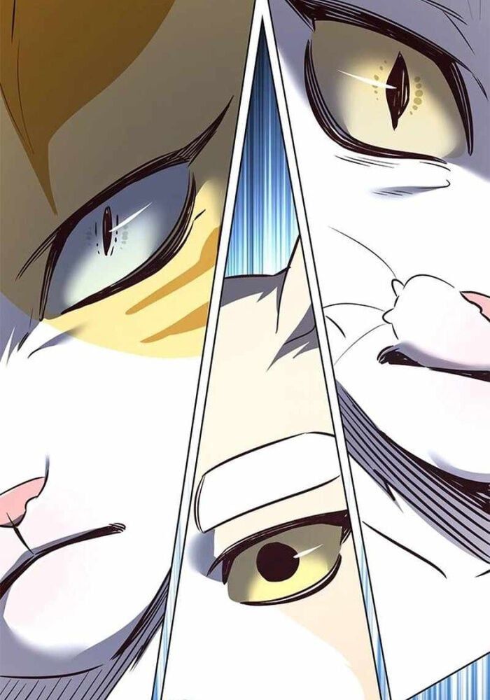 đọc truyện Hóa Thân Thành Mèo Chương 330 ảnh 55 tại Thiên Thai Truyện