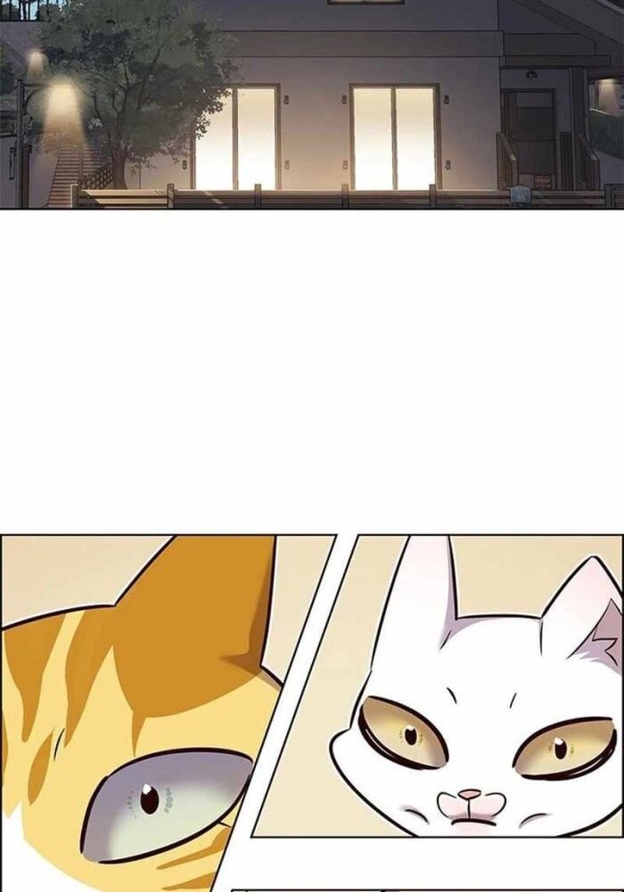 đọc truyện Hóa Thân Thành Mèo Chương 330 ảnh 58 tại Thiên Thai Truyện