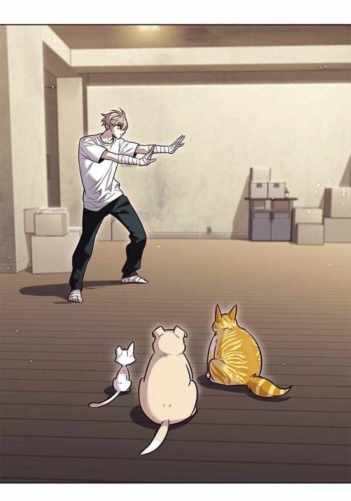 đọc truyện Hóa Thân Thành Mèo Chương 330 ảnh 64 tại Thiên Thai Truyện